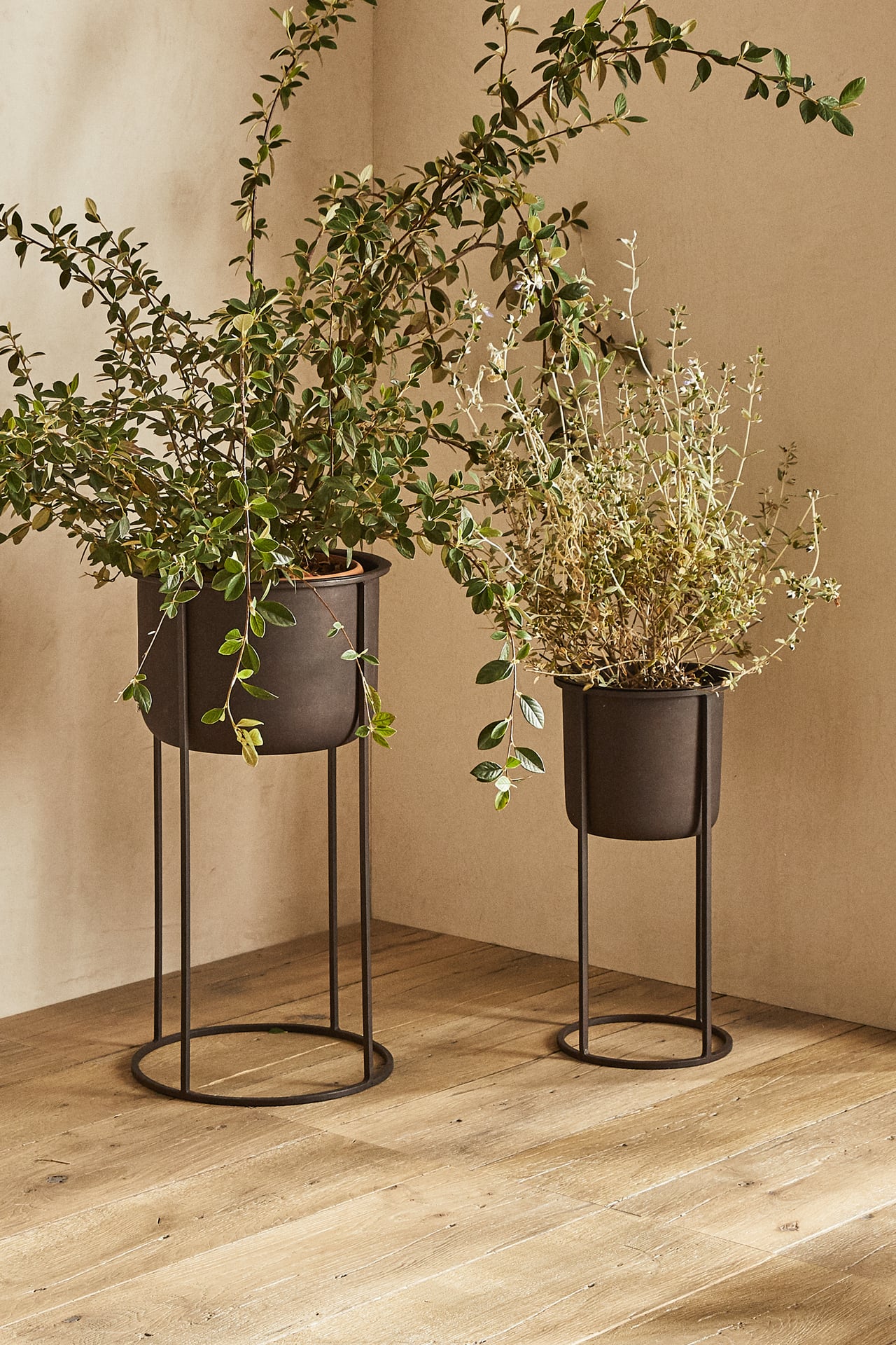 Plant pot, with stand, metal, black