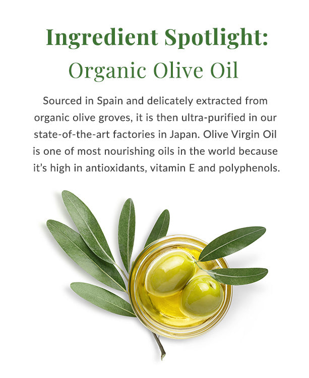 DHC Olive Virgin Oil Essential Cream 1.7oz